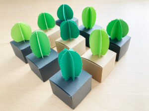 Read more about the article Paper Cactus Gift Box